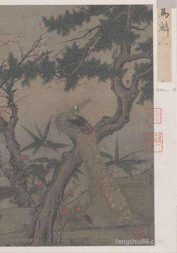不可以直接生吃的蔬菜有哪些