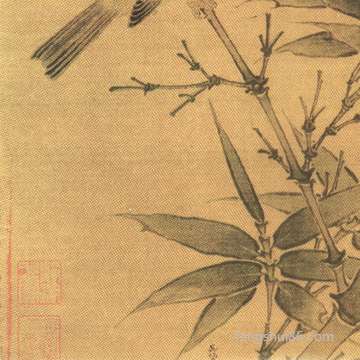 五行八卦的有关专业知识