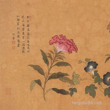 卧房放那些花促进睡眠:有什么叫法