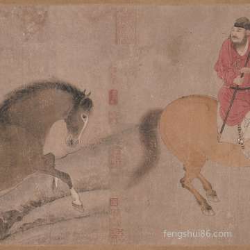 石决明的作用与功效:石决明和决明子茶的差别