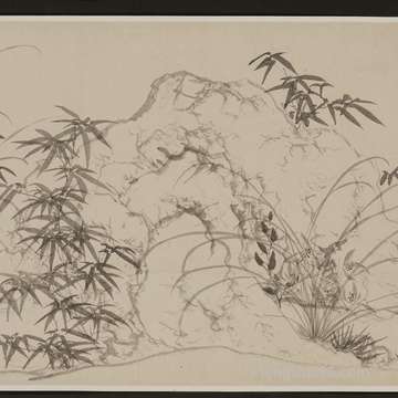 气场高雅又有型的属相男有什么