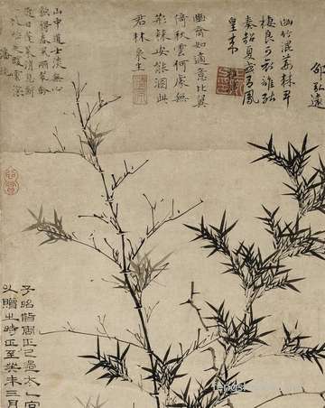 摘葡萄_周公解梦之摘葡萄_做梦摘葡萄预示什么
