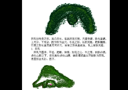 地理人子须知里面乳穴分为几种?什么是正格?