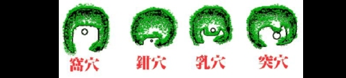 金星体结穴分为几种?太阳金与太阴金的区别?