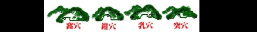 什么是侧脑金星?四种结穴的方式分别是什么?