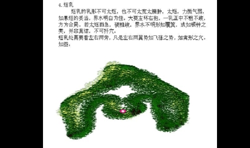 地理人子须知里面乳穴分为几种?什么是正格?