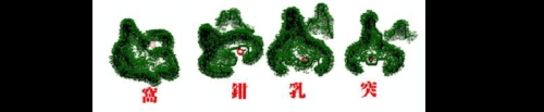 为什么说“窝.钳.乳.突”这四种方式是木星的结穴?