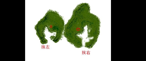 阴宅风水学中立穴怎么避开避杀的方法有几种?
