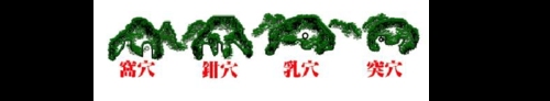 什么是侧脑金星?四种结穴的方式分别是什么?