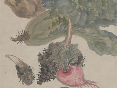 子建词描洛浦神,唐君色染博陵身;巫云巳散当年梦,吴粉空传半面春 | 明·徐渭 唐伯虎画崔氏