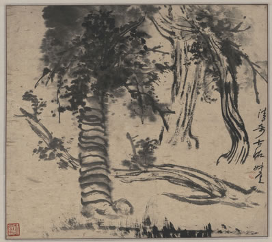 不须冰与雪,自作一瑶华;人道水仙子,芙蕖是一家 | 明末清初·屈大均 水仙花