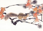 Բֱһˮ,;Сʫƫ,격͹ |  Ρ лй