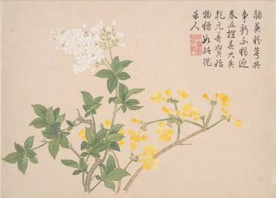 玳织鸳鸯履,金装翡翠簪;畏人相问著,不拟到城南 | 唐·令狐楚 杂曲歌辞 远别离二首