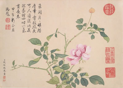 朝来风雨;暮来风雨;怎禁它、朝朝暮暮;花事阑珊,怪春已、暗抛人去 | 清·左锡璇 解佩令 暮