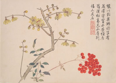 绿江深见底,高浪直翻空;惯是湖边住,舟轻不畏风 | 唐·储光羲 江南曲四首