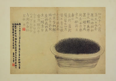 峨峨嵩高山,泱泱洛川水;山有柏与松,水有鲂与鲤;之人蕴奇抱,一出 | 明·林弼 送周伯章之宜