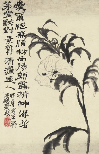 䲻ճ,ŭ;¥Ů佌,ͭҾ |  Ԭ տ