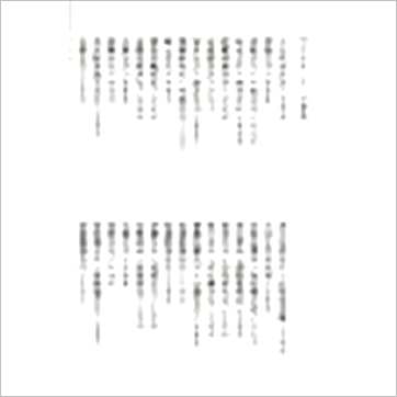 许真君《玉匣记》擇日书