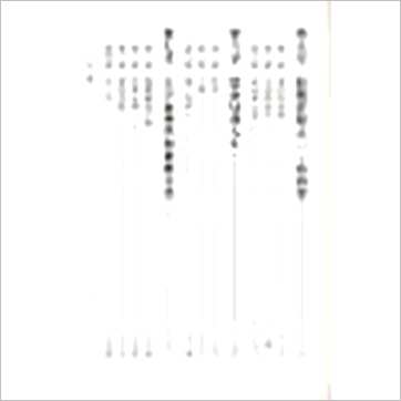 陆致极《八字与中国智慧》八字书