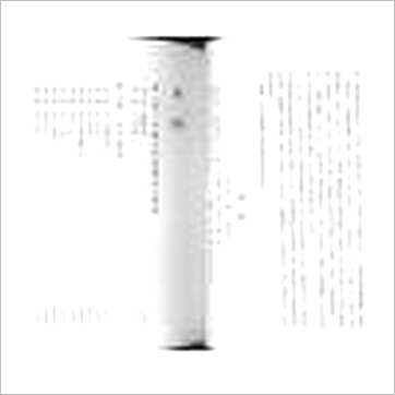 梁超《八字预测学》八字书