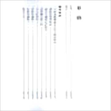 蒋文正《论命琐记(二)》八字书