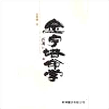 王梦阳《金字塔命学》八字书