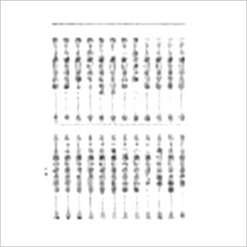 袁树珊《手相面相骨相精华》相学书