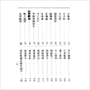 袁树珊《手相面相骨相精华》相学书