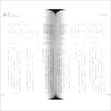 林琮学《八字命学精典》八字书
