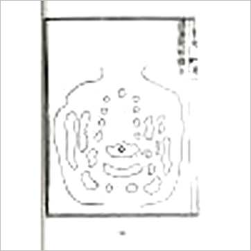 蒋大鸿《秘传水龙经 暫缺》風水书