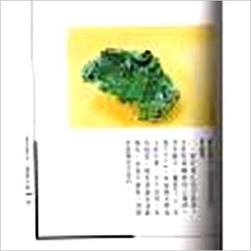 姜健贤《阳宅与水晶宝石》風水书